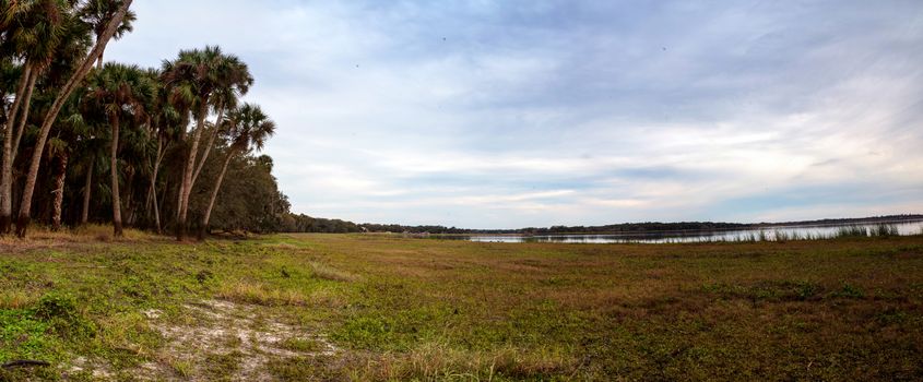 Wetland and marsh at the Myakka River State Park in Sarasota, Florida, USA