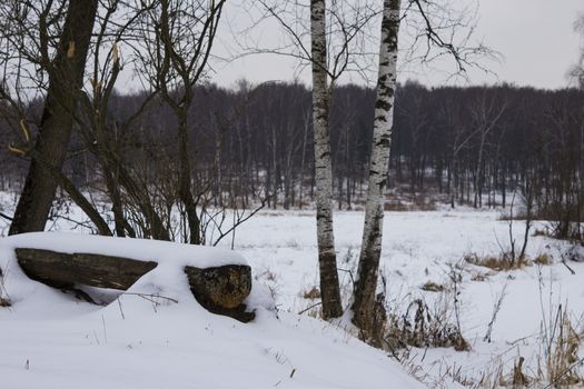 Park bench and trees covered by heavy snow. Lots of snow. Sunset