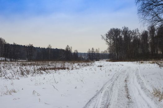 Winter road in the forest. Traces of cars in the snow. Sunset.