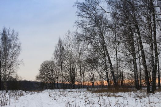 Winter road in the forest. Traces of cars in the snow. Sunset.