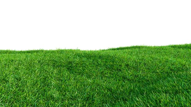 Green grass field on small hills, isolated on white background. 3d illustration