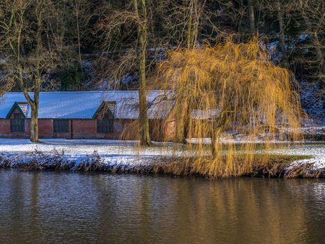 DURHAM, COUNTY DURHAM/UK - JANUARY 19 : Weeping Willow on the bank of the River Wear in Durham, County Durham on January 19, 2018