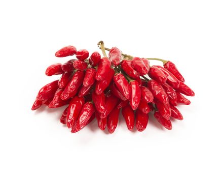 Red hot chili pepper isolated on a white background.