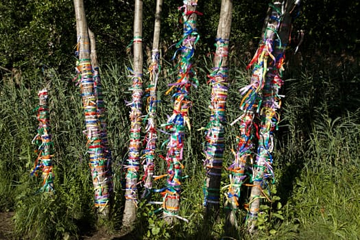 Multi-colored ribbons on a tree, neo-pagan practice