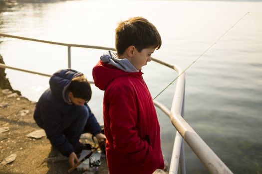 children on the shore of Lake Maggiore are fishing in the winter on a sunny day