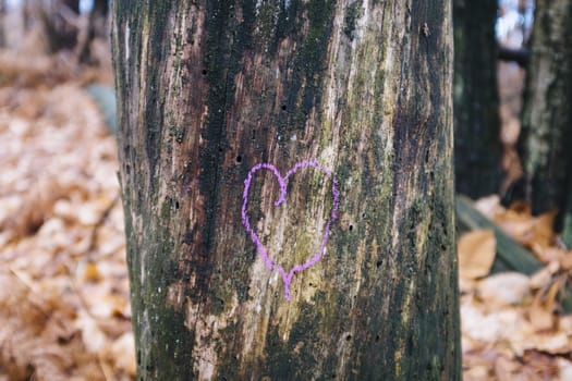 heart drawn above trunk in the forest, pink color