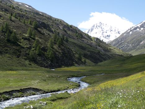 Italy, Lombardy, Trepalle, Vallaccia Valley, alpine mountain landscape in summer river flows in the valley and flowered meadows with snowy mountains in the distance