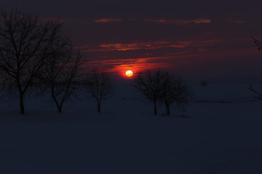 Amazing golden sunset