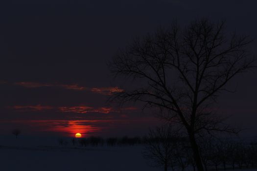 Amazing golden sunset