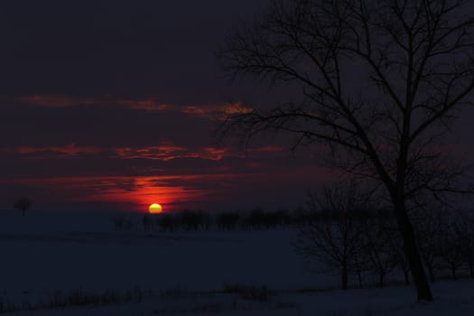 Amazing golden sunset