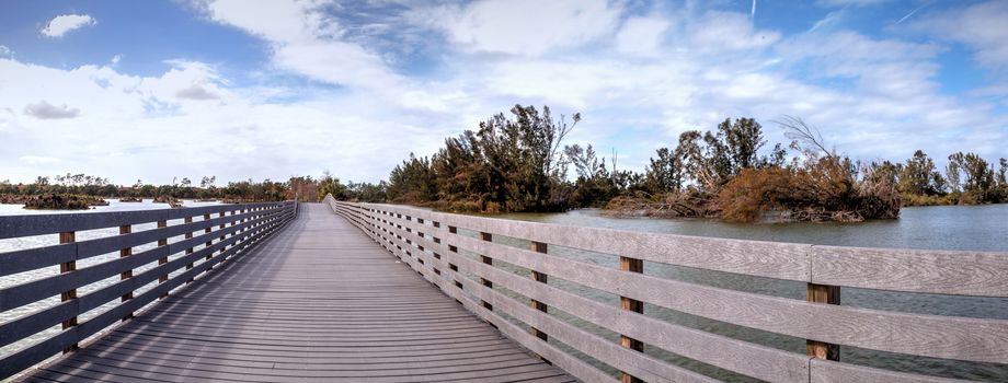 Boardwalk goes through the swamp at Lakes Park in Fort Myers, Florida and displays the damage done by hurricane Irma with uprooted trees.