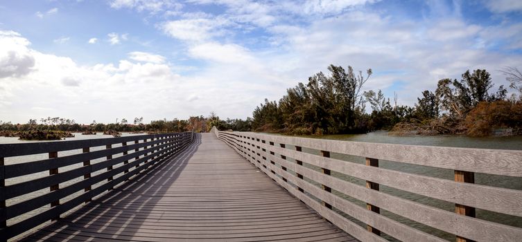 Boardwalk goes through the swamp at Lakes Park in Fort Myers, Florida and displays the damage done by hurricane Irma with uprooted trees.