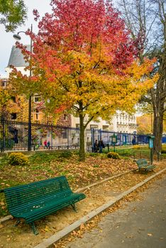 Yellow and red tree in Montsouris park in Paris in autumn