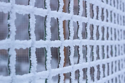 Frozen metal iron net chequer grid covered with frost in winter close-up
