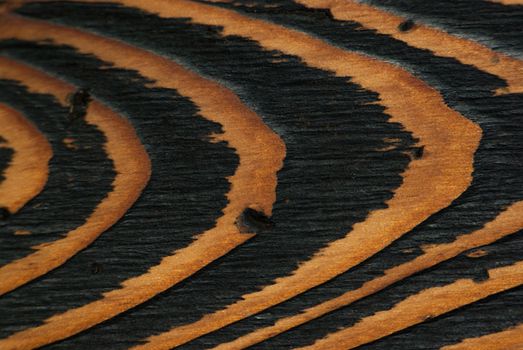 Natural wood texture, wooden table, close-up, close range