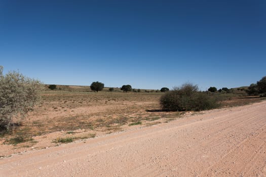 A view from Kgalagadi Transfontier Park, South Africa