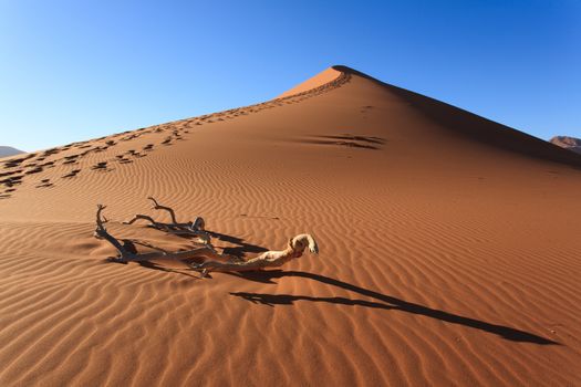 Red dune on the road to Sossusvlei, Namibia