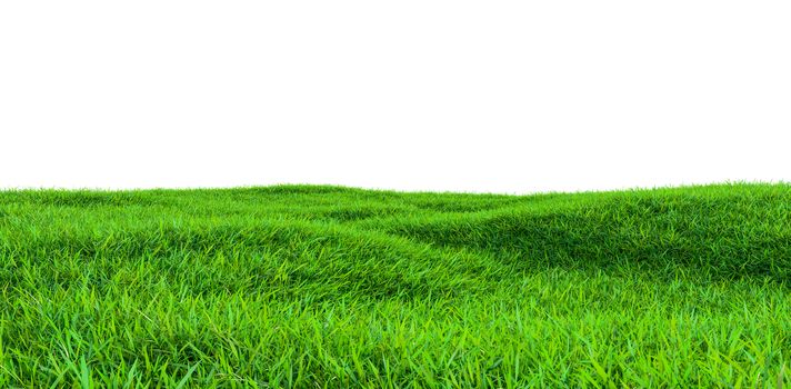 Green grass field isolated on white background. 3d illustration