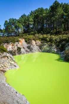 green lake in Waiotapu geothermal area, Rotorua, New Zealand