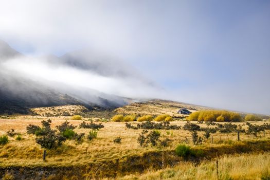 Mountain fields landscape in New Zealand alps