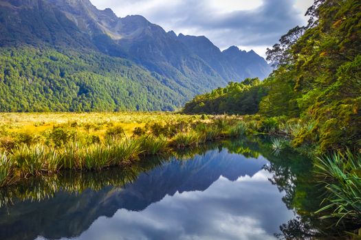 Lake in Fiordland national park, New Zealand southland