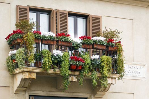 balcony with colorful flowers with marble plaque indicating Piazza Navona in Rome