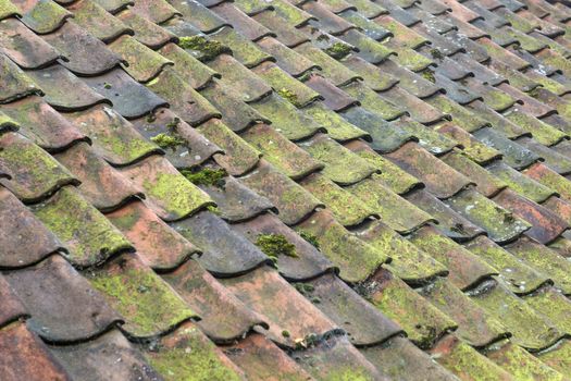 Old colorful ceramic baked roof tiles on a big authentic farm in Netherlands
