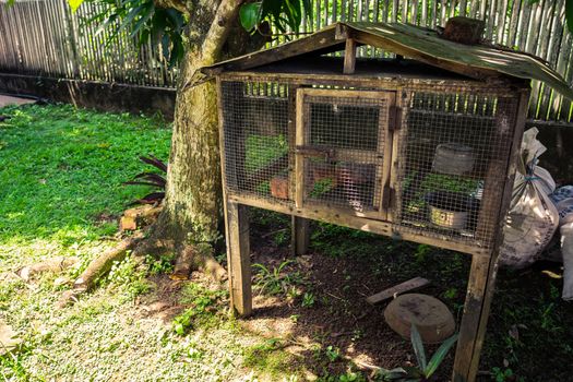 Empty chicken house under a tree