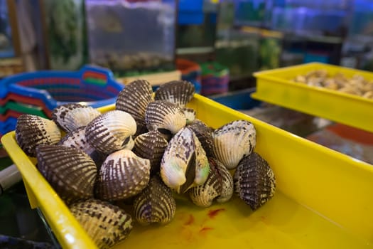 Fresh live clams seen in the live seafood section of a restaurant