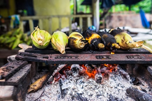 Grilled or Barbecue Corns Sold in Roadside Stall in Borneo