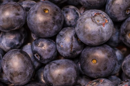 Multiple Fresh Blueberries