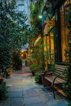 Secret street in Paris at night with plants everywhere