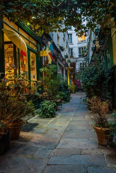 Secret street in Paris at night with plants everywhere