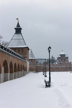 View of the tower from the Kremlin.