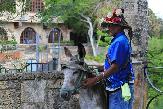 Dominican Republic, La Romana - January 08, 2018: Man and his donkey in Altos de Chavon, Dominican Republic. La Romana