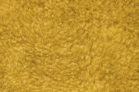 yellow shaggy skin of an animal closeup texture, Fur Texture.