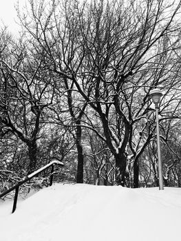 Winter park after snowstorm. Montreal, Canada.