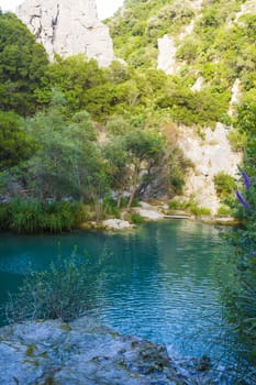 Mountain lake view through trees at polilimnio, Messinia, Greece