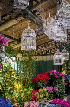 Flowers and bird cages in the marche aux fleurs in Paris