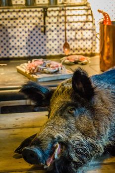 Dead wild boar ready to be cooked in a kitchen