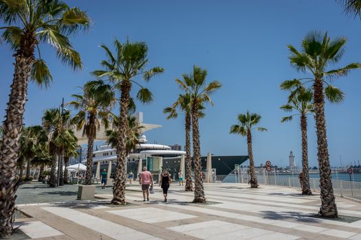 Tall palm trees in front a white lighthouse at Malagueta beach in Malaga, Spain, Europe on a bright summer day with clear skies