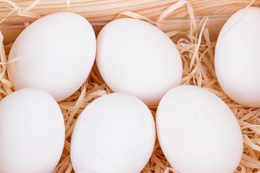 A lot of white chicken eggs in a bunch