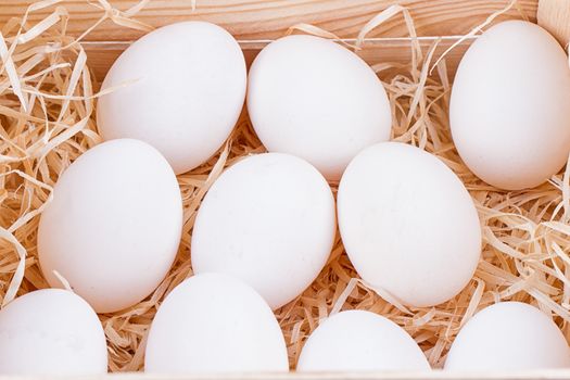 A lot of white chicken eggs in a bunch