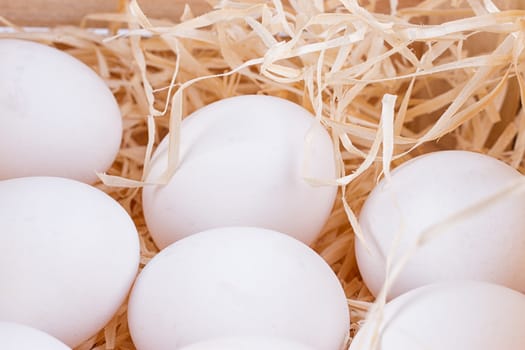 A lot of white chicken eggs in a bunch