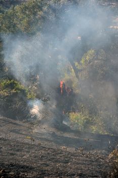 ZAKYNTHOS GREECE JULY 3: Fire at makris gialos small forest close to the sea low scale fire on July 03 2013 in Zakynthos,Greece