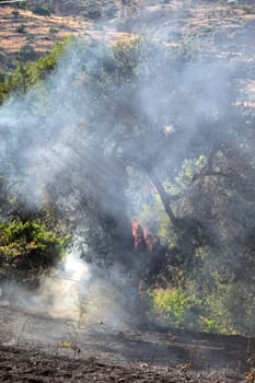 ZAKYNTHOS GREECE JULY 3: Fire at makris gialos small forest close to the sea low scale fire on July 03 2013 in Zakynthos,Greece