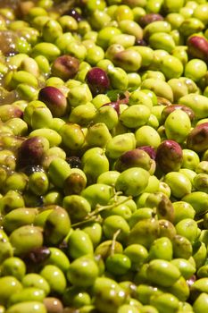 olives into small scale olive oil mill factory for extracting extra virgin olive oil