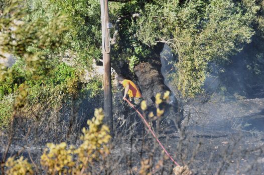 ZAKYNTHOS GREECE JULY 3: Fire department in action at makris gialos small forest close to the sea low scale fire on July 03 2013 in Zakynthos,Greece