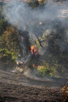 ZAKYNTHOS GREECE JULY 3: Fire at makris gialos small forest close to the sea low scale fire on July 03 2013 in Zakynthos,Greece