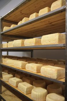 view of a maturing storehouse of cheese